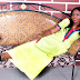 Check Out this stunning pictures from Kadol Fashion 